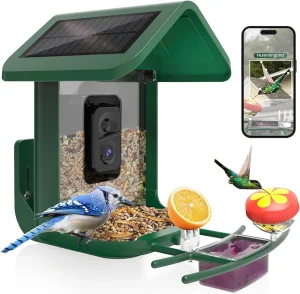 Smart Bird Feeder for Backyard Dads