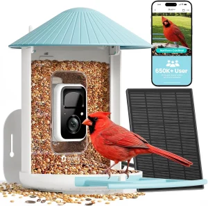 Bird Feeder Camera